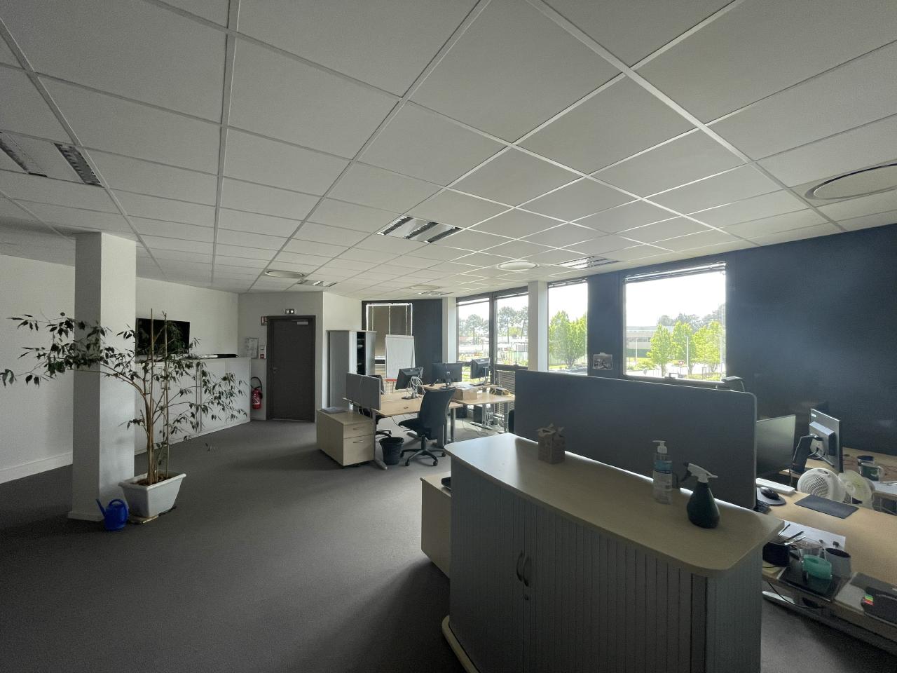 Bureau Pessac 439m² Location bureau Pessac Gironde OLBUR2422772 4